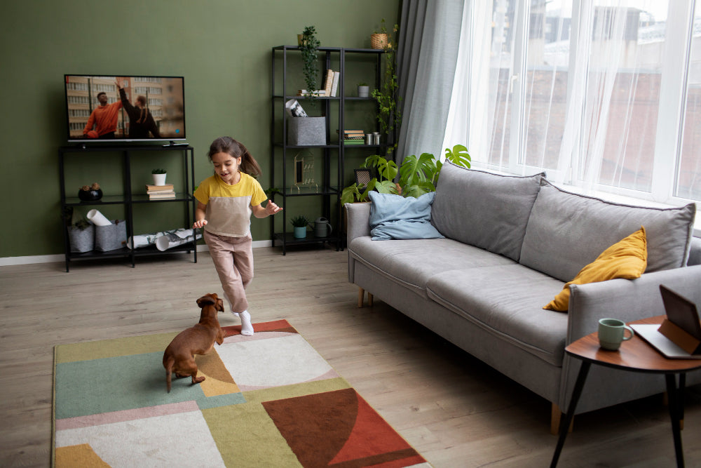 Responsibilities of pet ownership