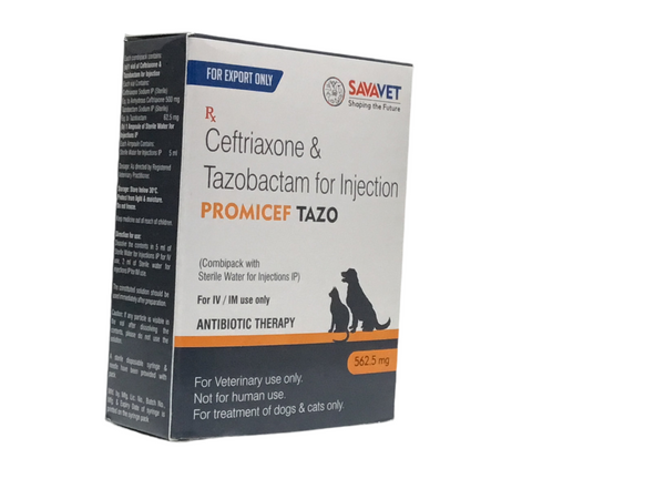 Promicef Tazo (Ceftriaxone)
