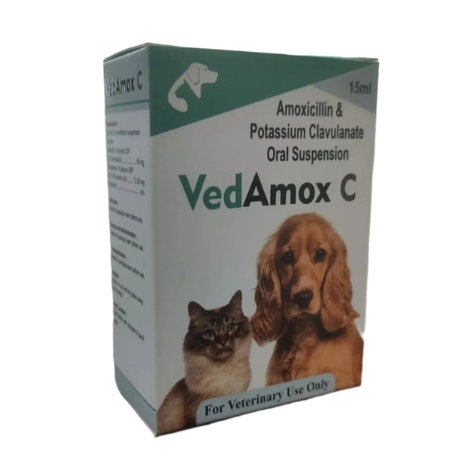 VedAmox C - Amoxycillin Clavulanate Oral Suspension