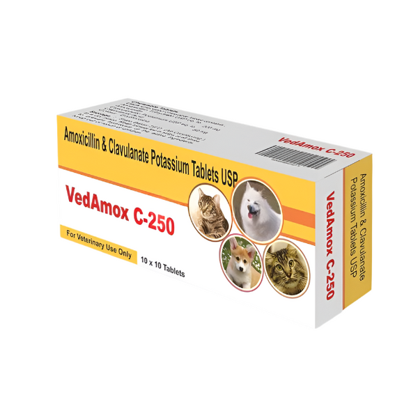 Vedamox C- 250 100 Tab